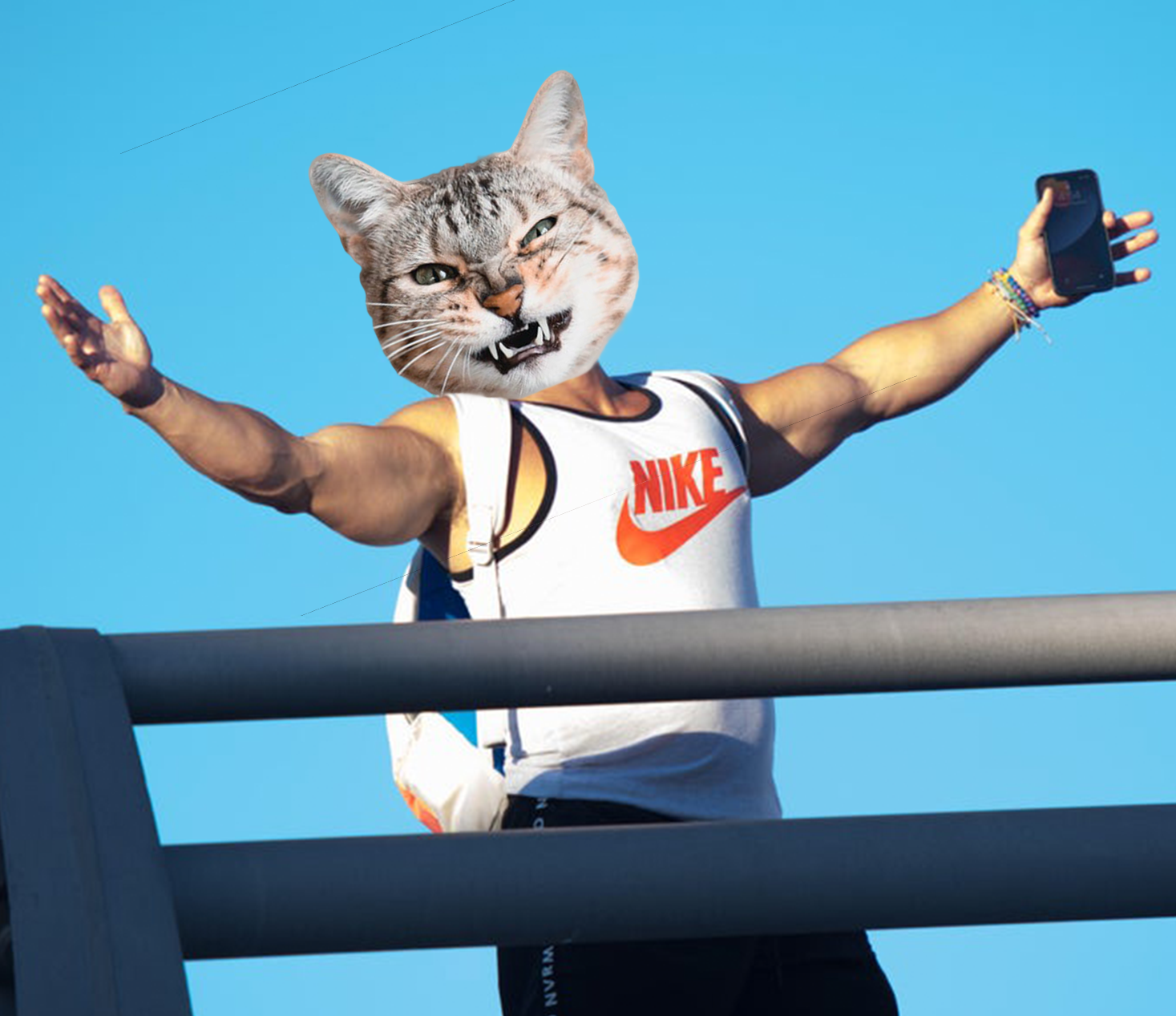 Cat Man, Photoshop.